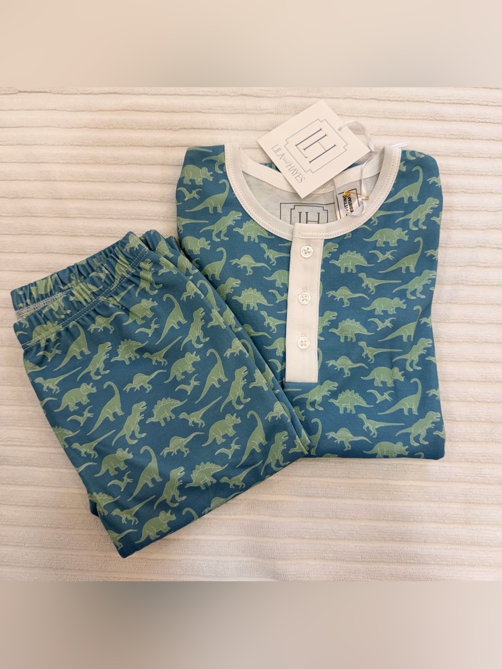 NWT Lila and Hayes Jack Boys’ Pajamas - Dinosaur Dig - Size 5